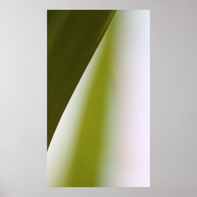 Natures Swerve Poster (Front)