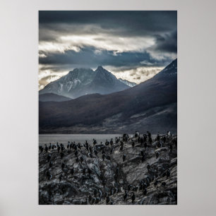 Nature's Symphony: A Portrait of Ushuaia's Wild Be Poster