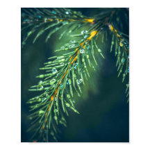 Nature's Tapestry: Capturing the Beauty of Leaves