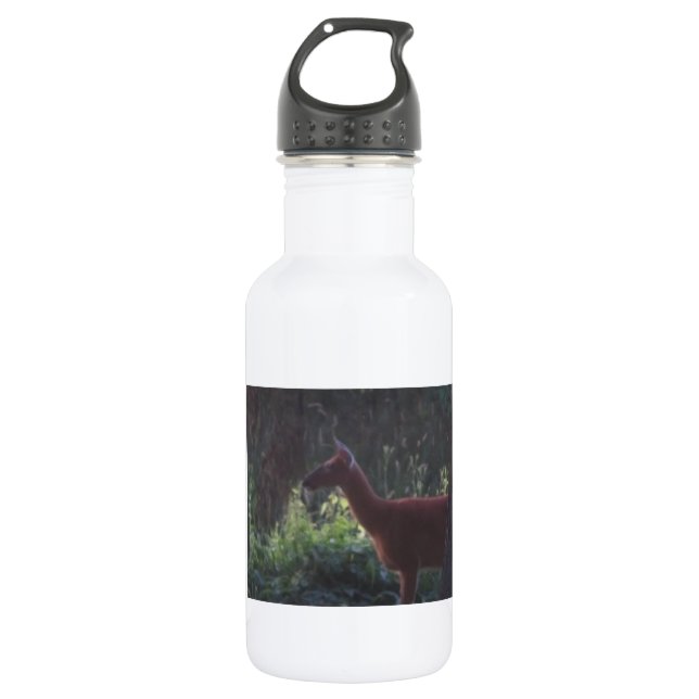 Natures Thirst 532 Ml Water Bottle (Front)