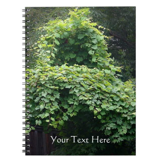 Nature's Throne Notebook (Front)