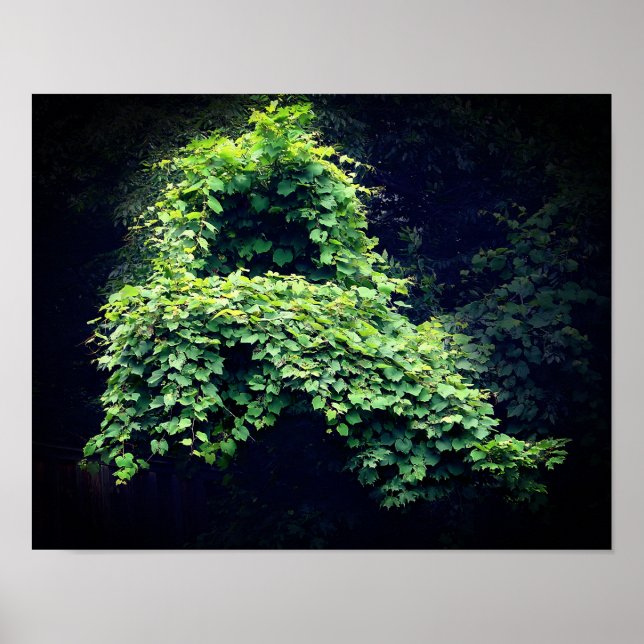 Nature's Throne Wild Leafy Vines  Poster (Front)