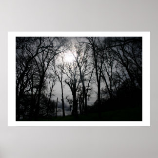 Nature's Veins Poster