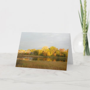 Nature's Widow Fall Colours  Greeting Card