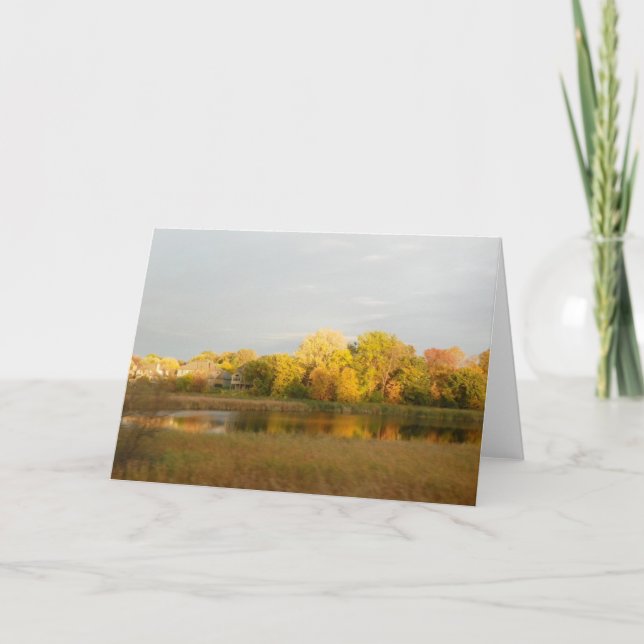 Nature's Widow Fall Colours  Greeting Card (Front)