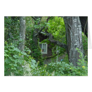 Nature's Window