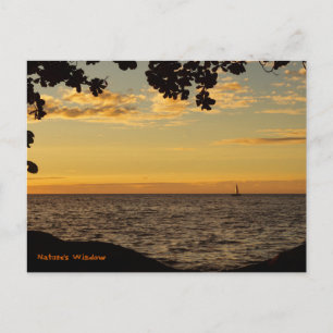 Nature's Window Postcard