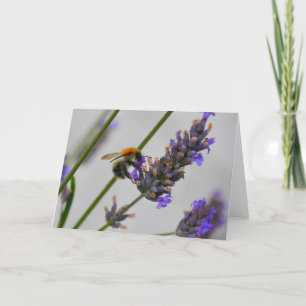 Natures Wonderful Workers Card