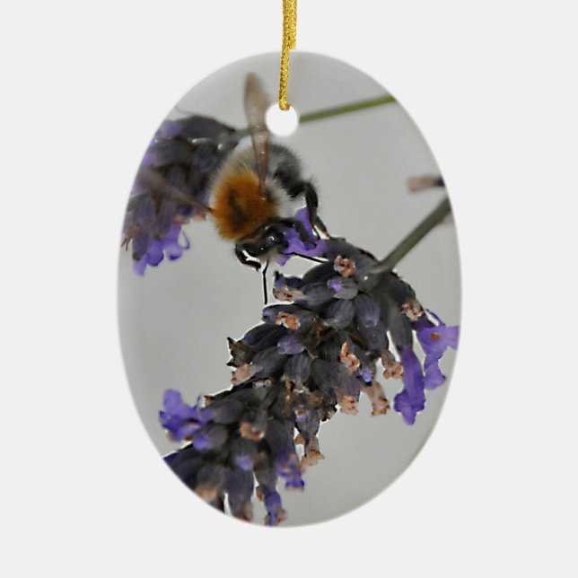 Natures Wonderful Workers Ceramic Tree Decoration (Front)