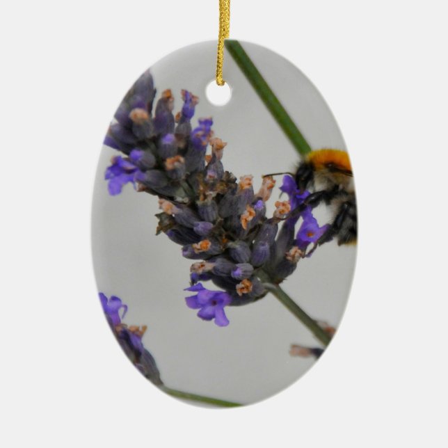 Natures Wonderful Workers Ceramic Tree Decoration (Front)