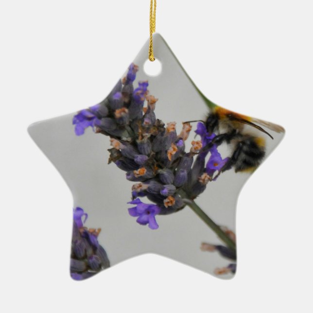 Natures Wonderful Workers Ceramic Tree Decoration (Front)