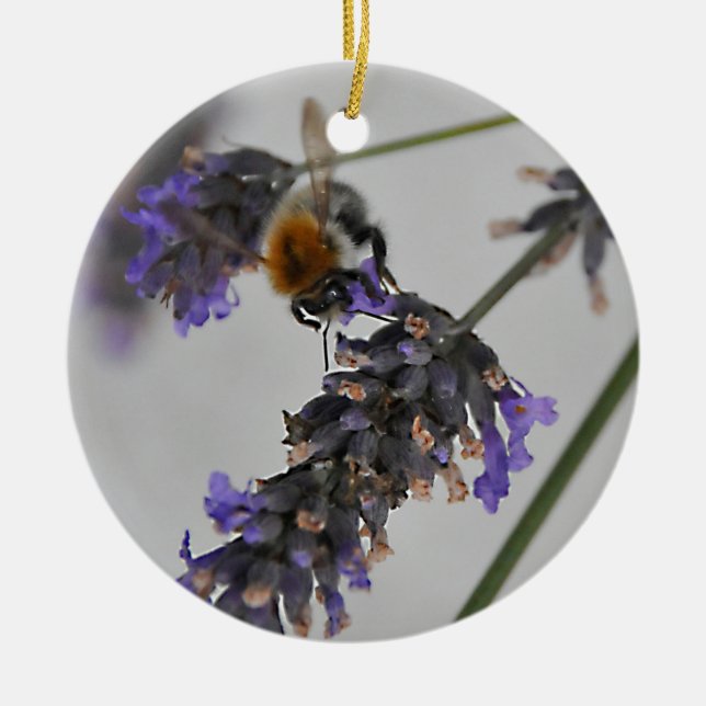 Natures Wonderful Workers Ceramic Tree Decoration (Front)