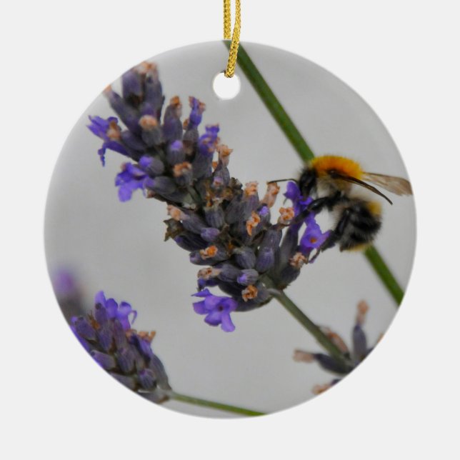 Natures Wonderful Workers Ceramic Tree Decoration (Front)