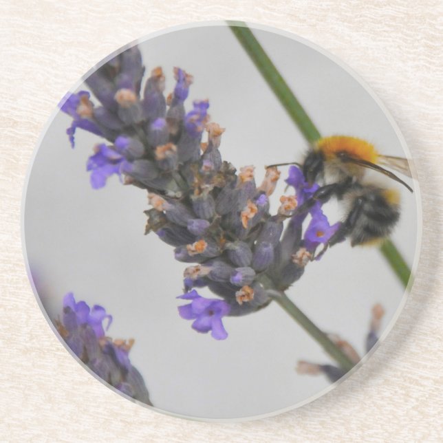 Natures Wonderful Workers Coaster (Front)