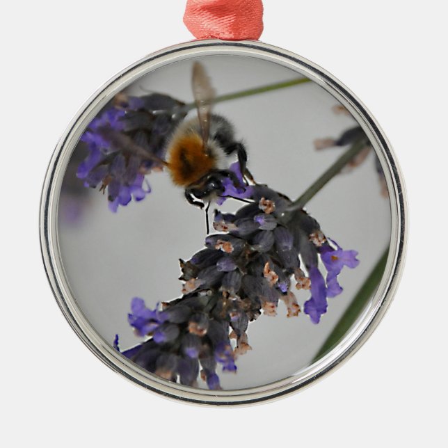 Natures Wonderful Workers Metal Tree Decoration (Front)