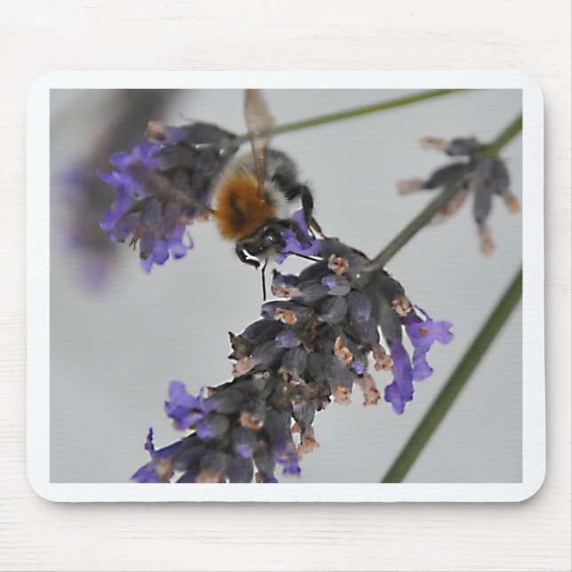 Natures Wonderful Workers Mouse Mat (Front)