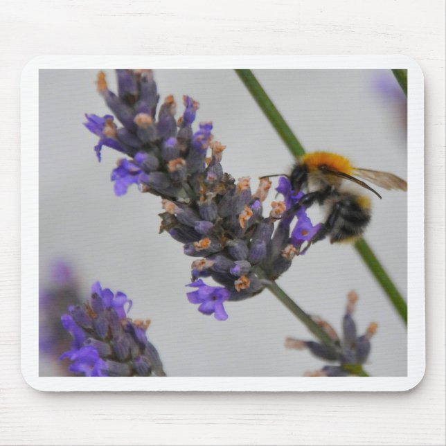 Natures Wonderful Workers Mouse Mat (Front)