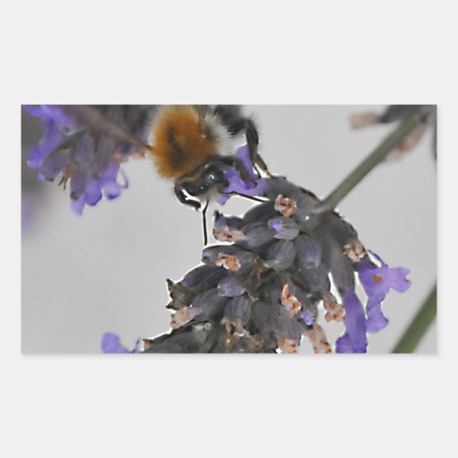 Natures Wonderful Workers Rectangular Sticker (Front)