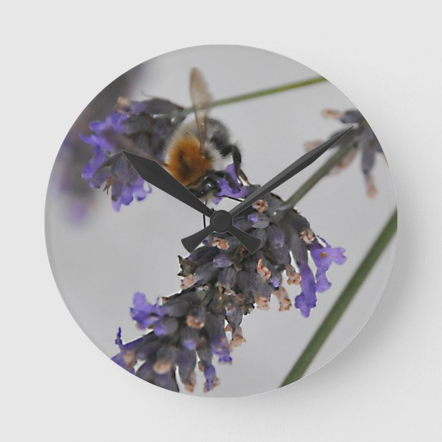 Natures Wonderful Workers Round Clock (Front)