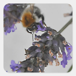 Natures Wonderful Workers Square Sticker