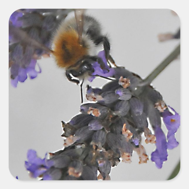 Natures Wonderful Workers Square Sticker (Front)