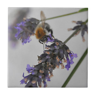 Natures Wonderful Workers Tile