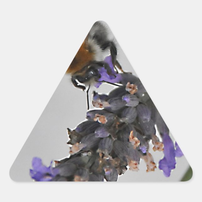 Natures Wonderful Workers Triangle Sticker (Front)