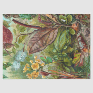 Nature's Wonders Scientific Illustration Tissue Paper