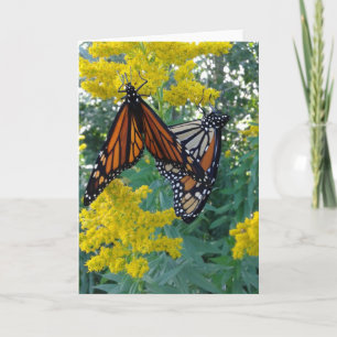 Nature's Wonders Two Butterflies Card