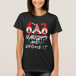 Naughty And I Gnome It Christmas Gnomes Funny Xmas T-Shirt