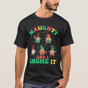 Naughty And I Gnome It Funny Gnome Christmas T-Shirt