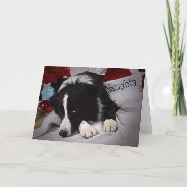 Naughty BC Merry Christmas Holiday Card (Front)