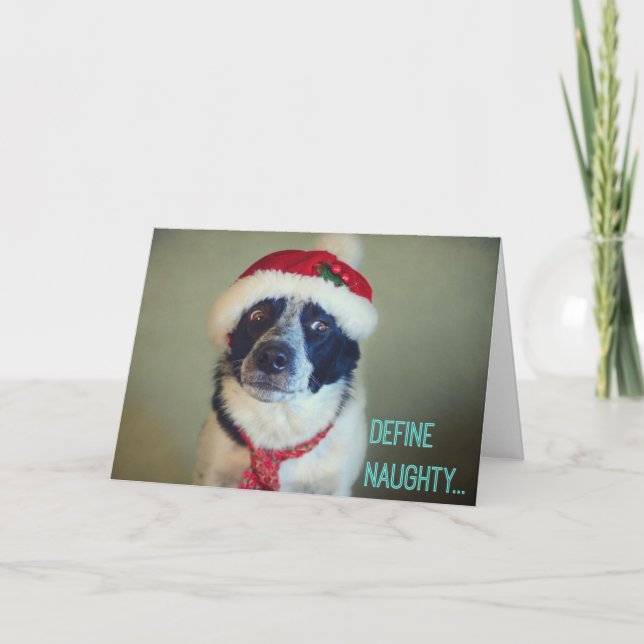 Naughty Border Collie Christmas card. Holiday Card (Front)