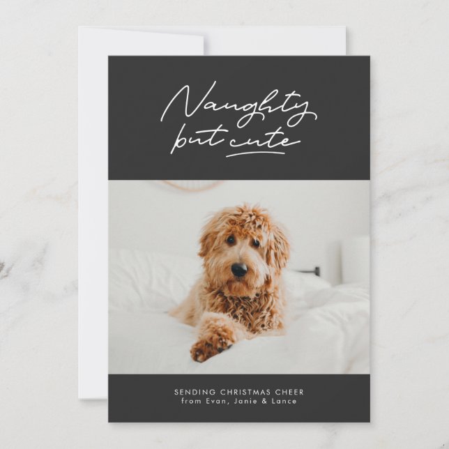 Naughty but cute funny Christmas pet photo card (Front)