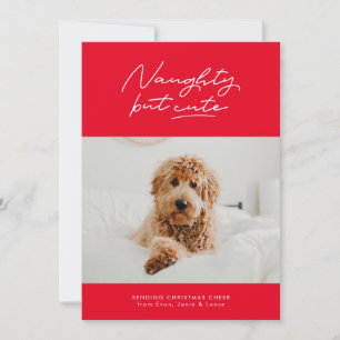 Naughty but cute funny holiday photo card