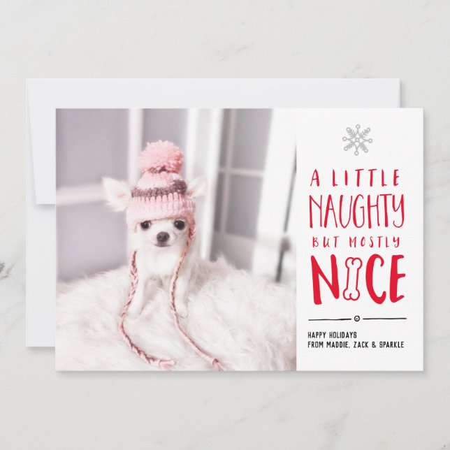Naughty But Nice | Pet Photo Holiday Card (Front)
