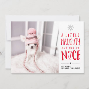 Naughty But Nice   Pet Photo Holiday Card