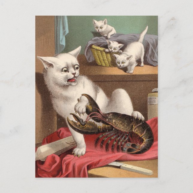 Naughty cats & lobster postcard (Front)