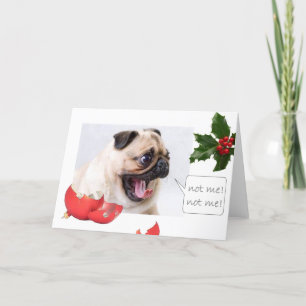 Naughty Christmas pug Holiday Card