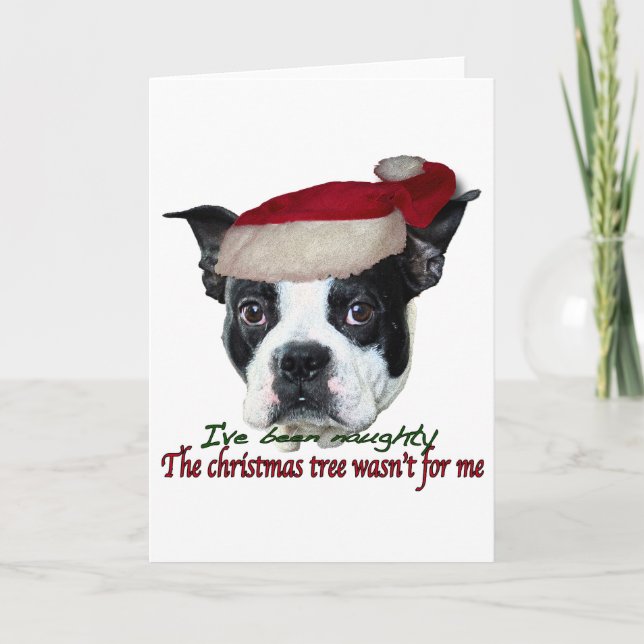Naughty dog holiday card (Front)