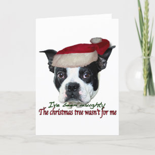 Naughty dog holiday card