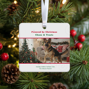 Naughty Funny Dog Pet Photo Christmas Holiday Ceramic Ornament