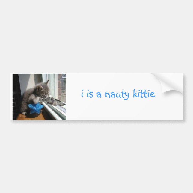 Naughty Kitten Bumper Sticker (Front)