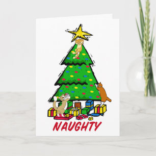 Naughty Kitties Greetings Card