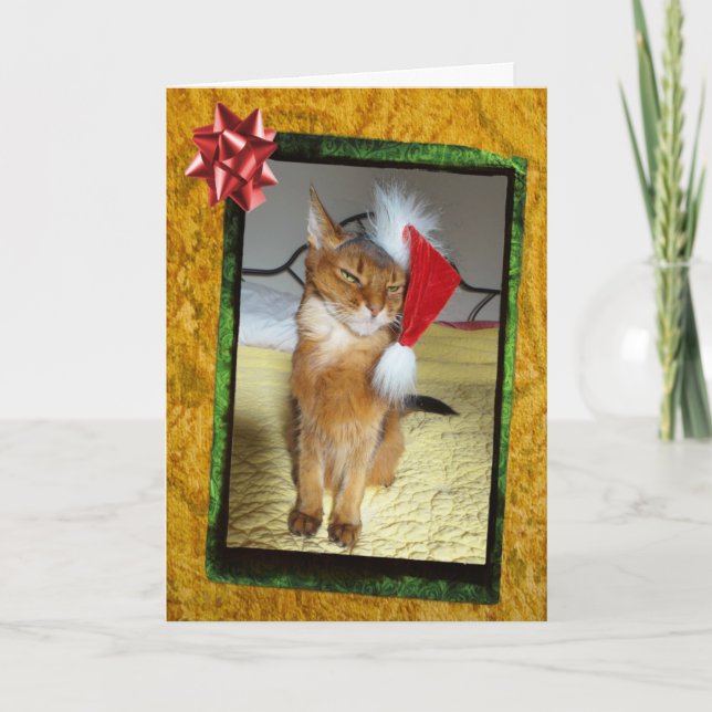 Naughty Kitty Christmas Card (Front)