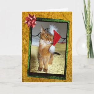 Naughty Kitty Christmas Card