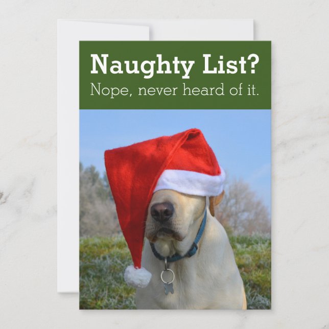 Naughty List? Nope never heard of it funny photo H Holiday Card (Front)