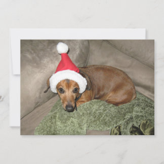 Naughty list - Reluctant Santa Dachshund Holiday Card