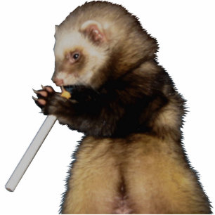 Naughty Mr. Woozle Standing Photo Sculpture