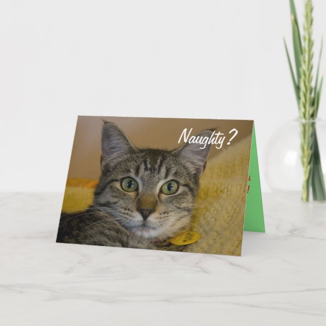 Naughty or Nice Cat Card (Front)
